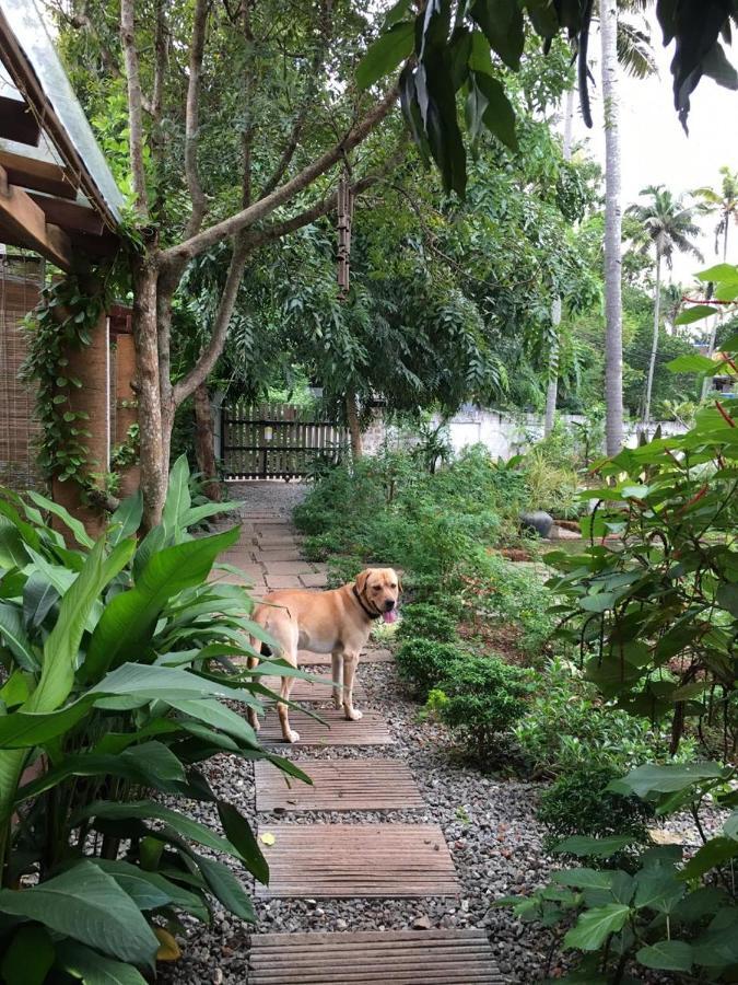 Villa Akasa Varkala Exterior photo